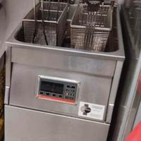 Friggitrice digitale professionale elettrica