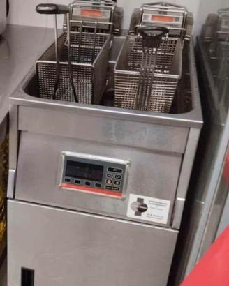 Friggitrice digitale professionale elettrica