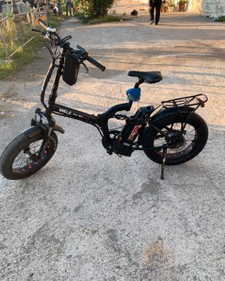 Bici elettrica, miele