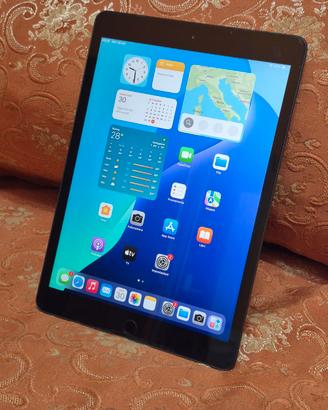 Apple iPad 7a generazione 128 gb