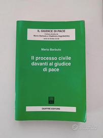 Il processo civile davanti al giudice di pace