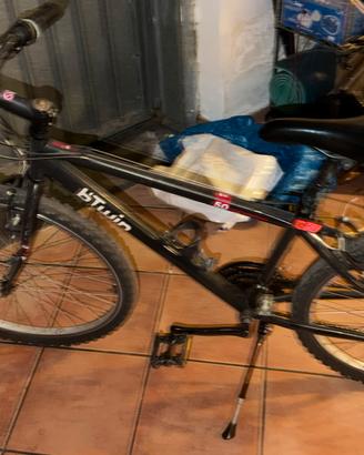 Bicicletta