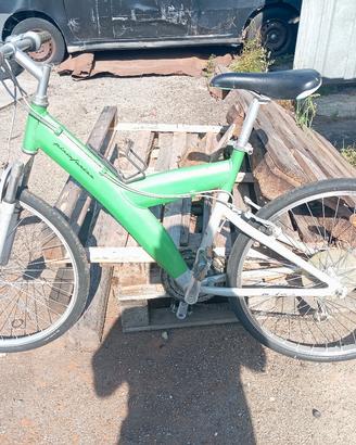 bicicletta 