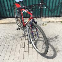 Bici mtb