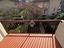 Immagine 29