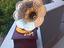 Immagine 4