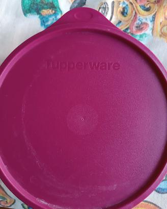 contenitore Tupperware 