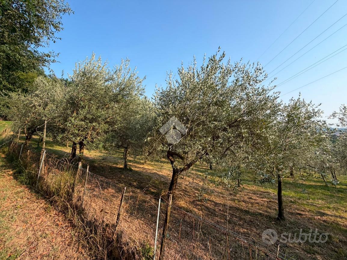 TERRENO A TORRE DE' ROVERI - Altro