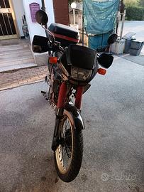 Dominator NX 650