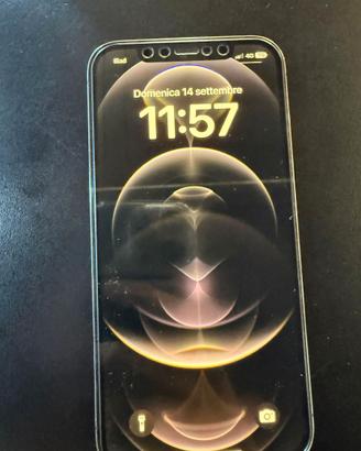 Iphone 12 Pro