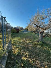 Terreno Edificabile Moscufo