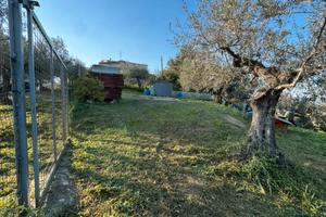 Terreno Edificabile Moscufo