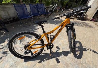 Bici per ragazzi