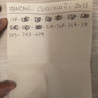 Amici Cucciolotti 2023