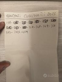 Amici Cucciolotti 2023