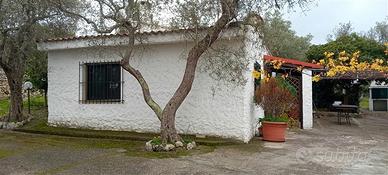 Villetta con terreno - monte oro