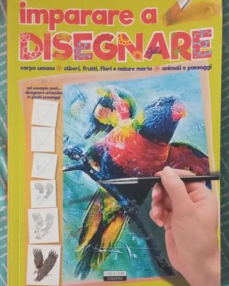 Impara a disegnare come un professionista 