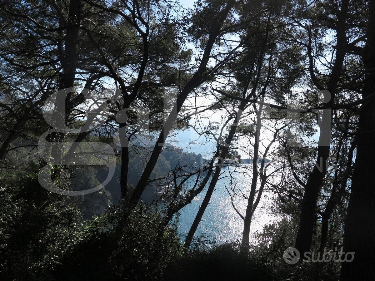 Rustico/Casale/Corte Lerici [629VRG] - Vista 5