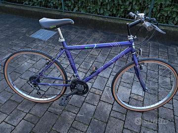 bicicletta