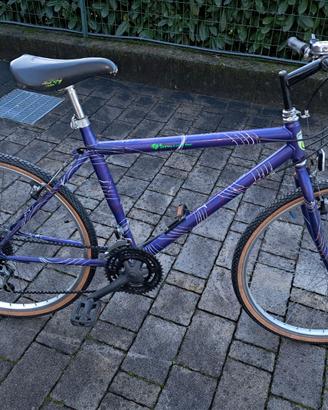 bicicletta