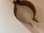 Immagine 29