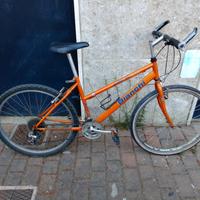 bicicletta bianchi mtb