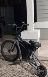 Bici elettrica