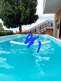 piscina  scaletta motore e scopa per pulirla