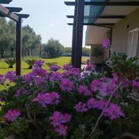 Appartamento Bilocale