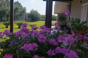 Appartamento Bilocale