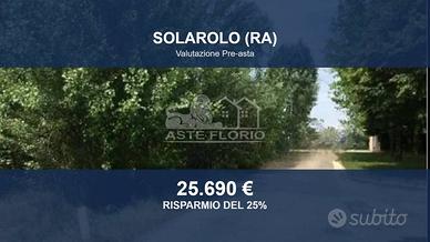Immobile in asta di 22556 m² a Solarolo