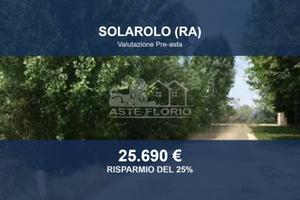 Immobile in asta di 22556 m² a Solarolo