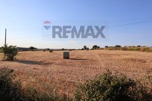 Terreno - Ragusa