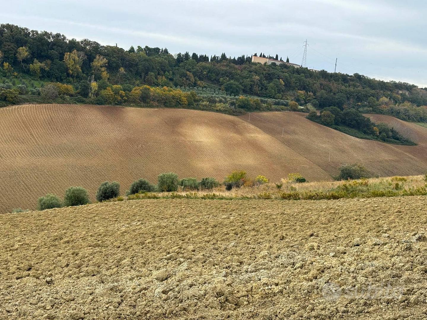 Terreno - Altidona - Vista 3