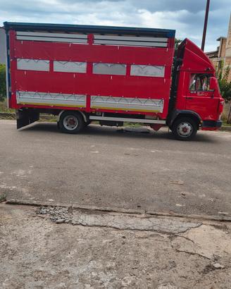 trasporto animali 