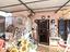 Immagine 7