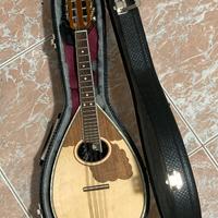 Mandolino elettrificato Matsikas MD-101