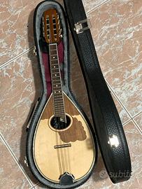 Mandolino elettrificato Matsikas MD-101
