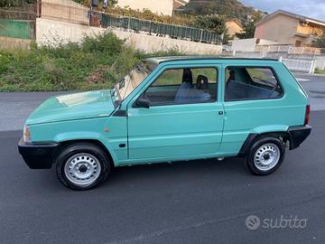 Fiat Panda 1100 i.e. cat Young