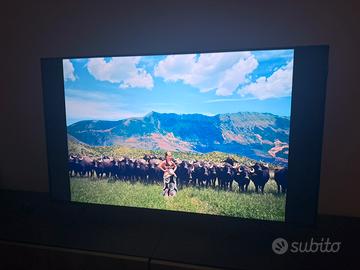 Tv qled TCL 43”