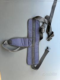 Cintura addominale-pelvica