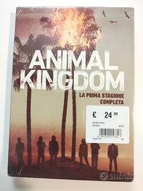 animal Kingdom cofanetto prima stagione