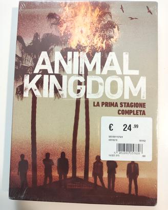animal Kingdom cofanetto prima stagione