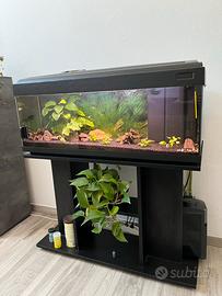 Acquario 120lt
