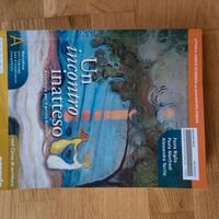 UN INCONTRO INATTESO A