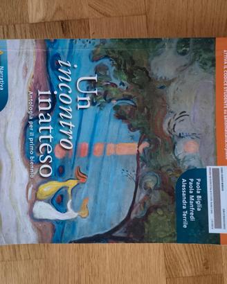 UN INCONTRO INATTESO A