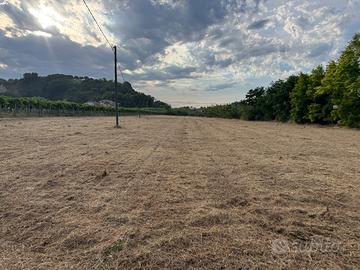 Terreno ad uso agricolo