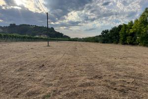 Terreno ad uso agricolo