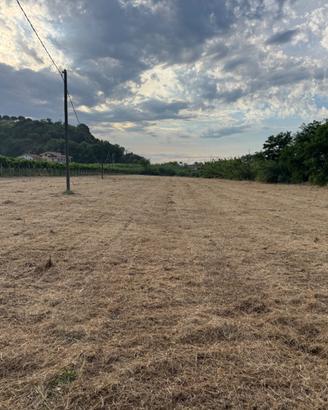 Terreno ad uso agricolo