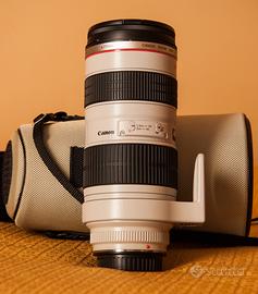 Canon EF 70-200mm f/2.8L USM